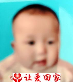 王艺涵