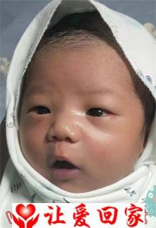 郁诗尧