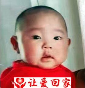 周含静