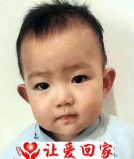 王子德