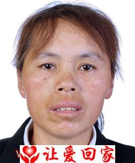 杨芹