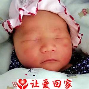 胡君琪