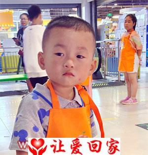 贾若森
