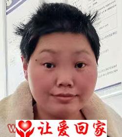 陈晓红