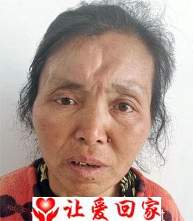李雨