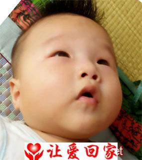 高鹤轩