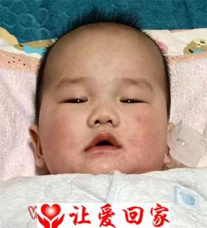 杨浩天