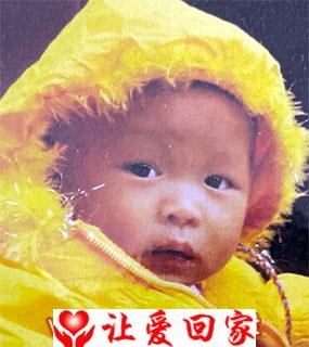 龙光能