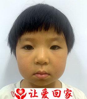 杜乐乐
