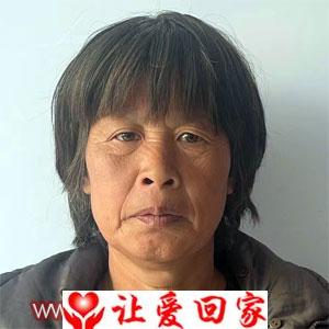邓树芳