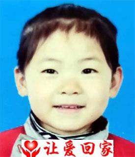 董沐兮