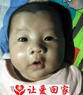 杨欣研