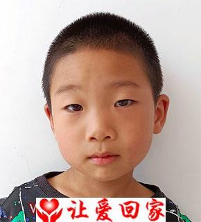 朱勤向