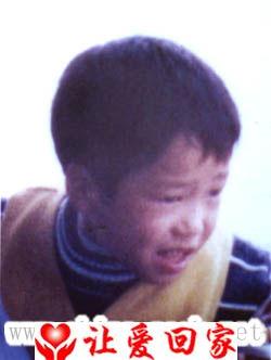陈磊