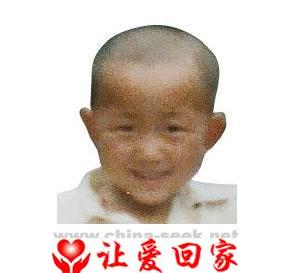 张博（波）